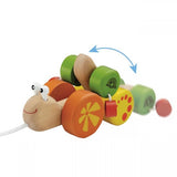Wooden Wonder Pull Along Snail
