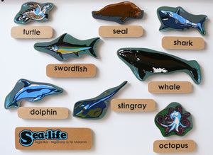 Sea Life Words and Pictures Magnetic