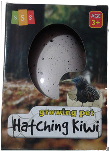 Hatching Pet - Kiwi