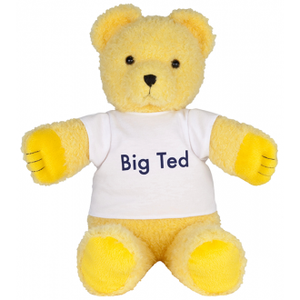Big Ted - Teddy Bear